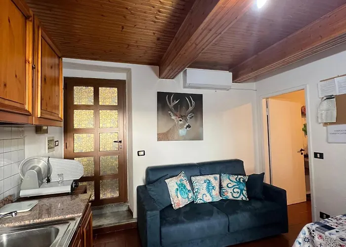 Mari & Monti Montignoso